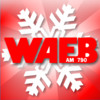 WAEB Operation Snowflake