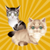 Cat and Kitten Sound Effects : Play,Fun and Annoy Your Cat With Free Cats and Kitty SFX