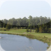 Lane Tree Golf Course