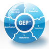 GEP Risk Check