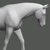 Horse Pose Tool