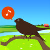 Chirp! Bird Song USA