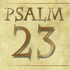 Psalm 23 Anointed