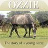 Ozzie - The story of a young horse