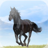 Horse Encyclopedia for iPhone