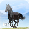Horse Encyclopedia for iPad