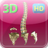 3D Medical Human Spine HD