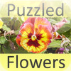 Puzzled Flowers
