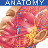 Anatomy Flashcards, 2nd ed.