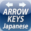 Arrow Keys Mail Japanese Keyboard