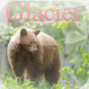 Glacier Park Magazine