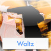 Learn To Dance Waltz Volume 1: A complete Beginner's Guide To Dancing The Waltz