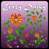 Crazy Daisy (Flower Dancing)