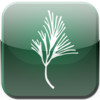 Pine Crest Interactive