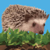 Hoppin' Hedgehog
