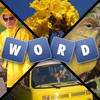 Words and Pics - Guess What's hidden Behind The Four Photos