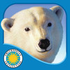 Polar Bear Horizon - Smithsonian Oceanic Collection