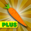 Vegetable & Fruit - Seed & Plant Store Plus by Wonderiffic 