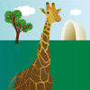 100 Zoo Animals - Elephants, giraffes, lions and more