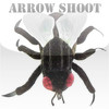 Arrow Shoot
