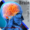 Brain Anatomy 3D For iPhone