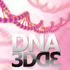 DNA 3D