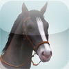Equestrian Center - Horse Guide for The Sims 3: Pets