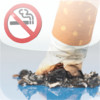 No Smoking Pro!