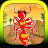 Red Army Ants Desert Battle Invasion