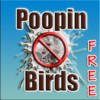 Poopin Birds