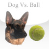 Dog VS. Ball