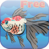 Kai Wen's Free Gold Fish