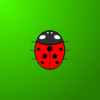Touch the Ladybug, free and easy game for babies.
