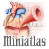 Miniatlas Cardiology