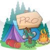 National and State Park Camping Guide -PRO