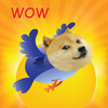 Happy Doge - Amazing Attack The Meme Bird Dog Flying Free Game