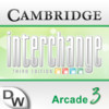 Interchange 3e Arcade, Level 3