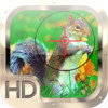 Squirrel Hunter: Varmint Hunting