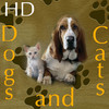 HD Cats and Dogs