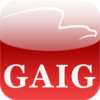 GAIG Connect