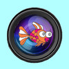 Fish Eye lens camera