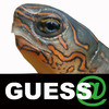 GUESS@..Animals