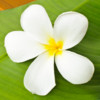 Hawaii Photo Tour for iPad