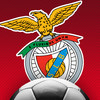 SL Benfica football card game 13/14