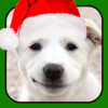 A Talking Christmas Puppy for iPhone