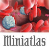 Miniatlas Hematology