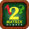 Matrix Number 2013