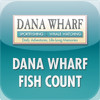 Dana Wharf Fish Count