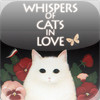 Whispers of Cats in Love