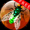 Galactic Insects Free